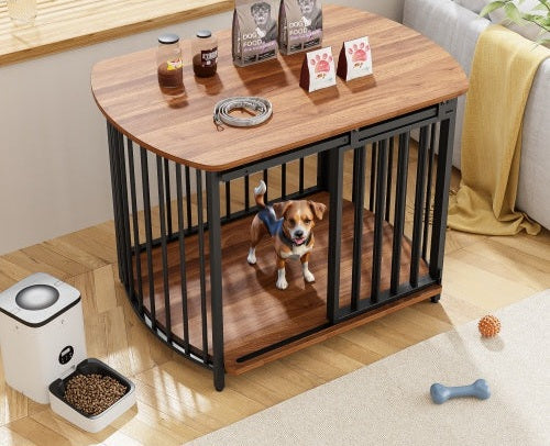 Pets Accessories