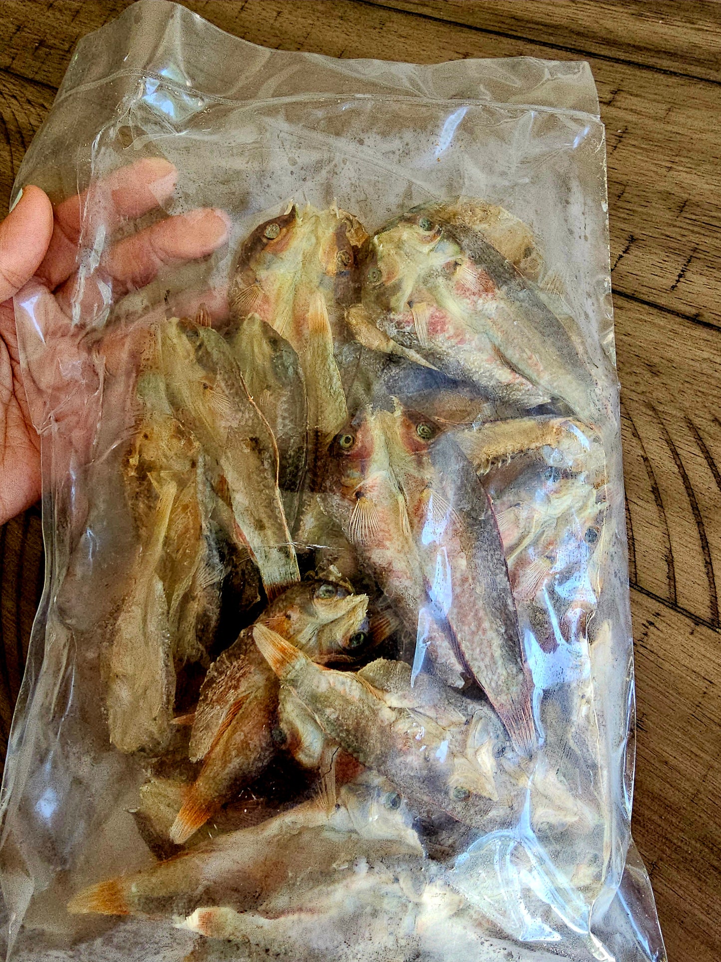 Jivanya Dried Labayan Pinakas - 250 grams - 8.8 oz