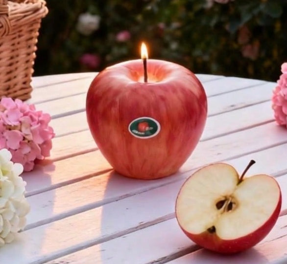 Home Fragrance and Ambience| Scented Candles, Diffusers & Home Scents
