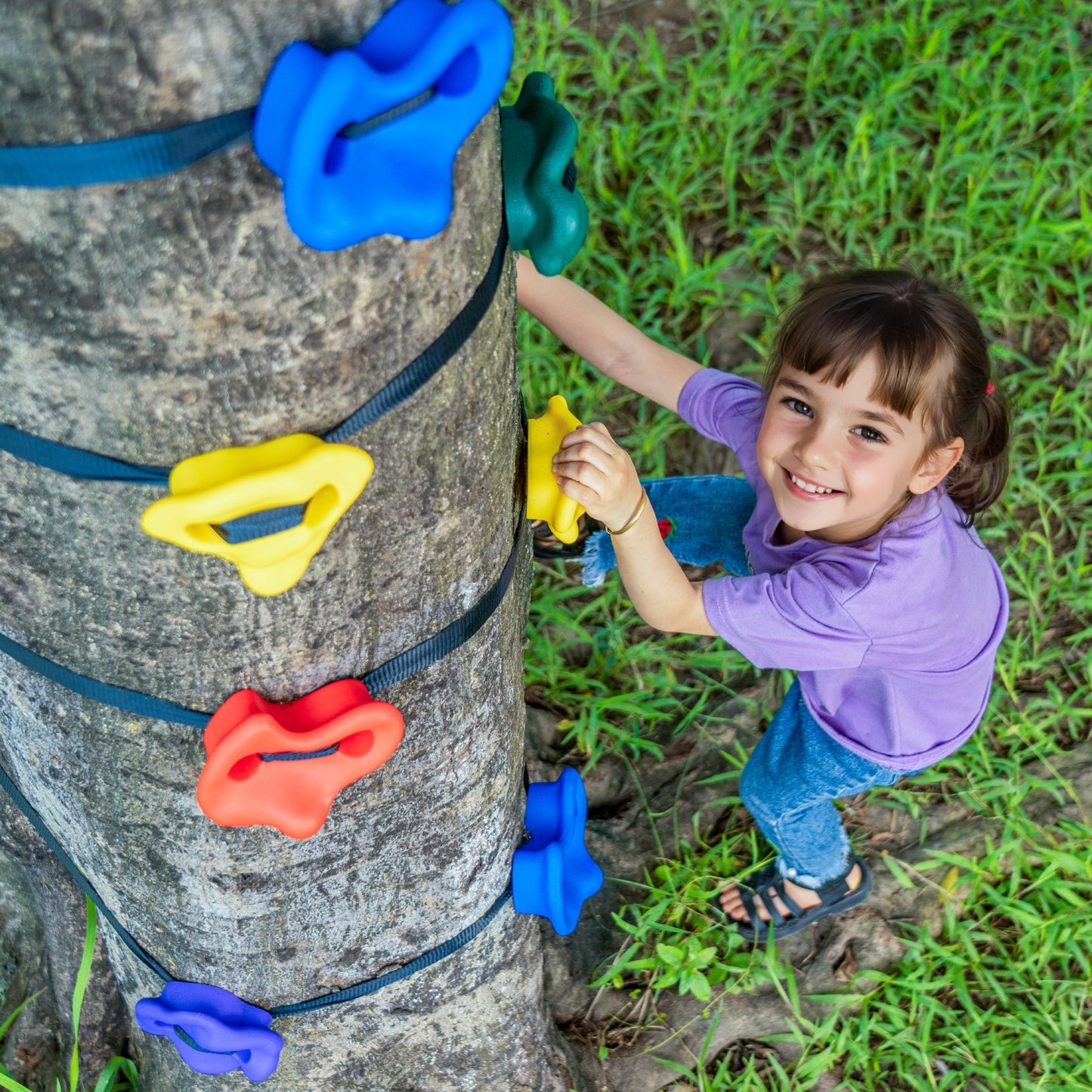 VEVOR NinjaTree Climbing Kit 20 Tree Climbing Holds 6 Ratchet Straps Outdoor