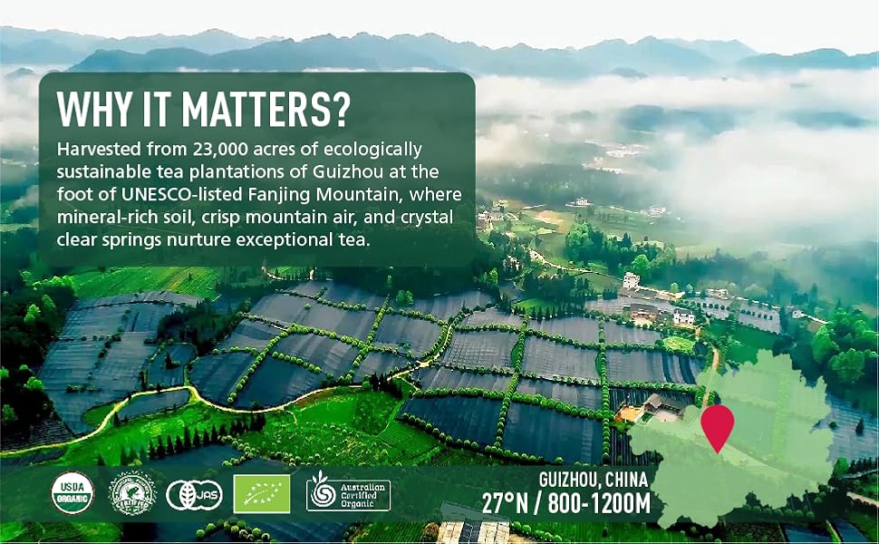 Only Self Pickup-Ceremonial Grade Matcha Green Tea Powder,Premium First Harvest Unsweetened,1 0 0 Pure Matcha ForLattes,Smoothies,and Baking  40g  1.4oz