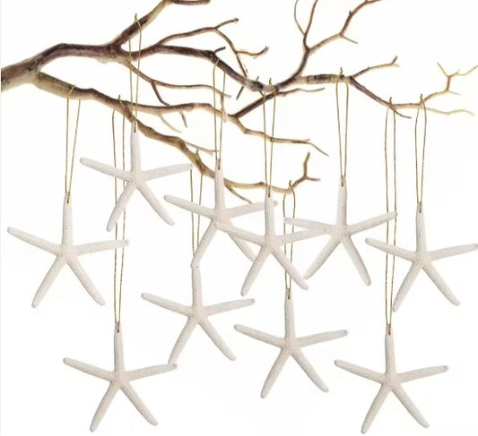 20 PCS Christmas Starfish Hanging Ornaments 3-4'' Natural Starfish With Rope