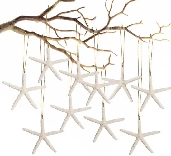 20 PCS Christmas Starfish Hanging Ornaments 3-4'' Natural Starfish With Rope