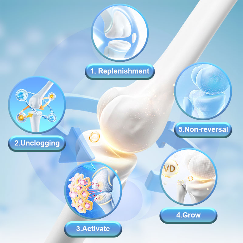 Glucosamine Chondroitin Sulfate