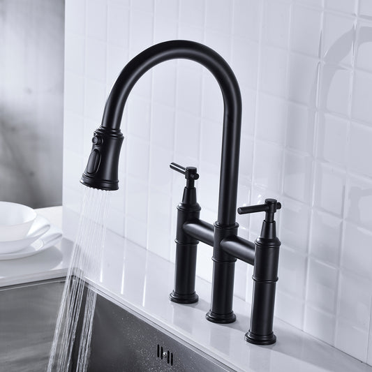 Pull Down Dual Handle Kitchen Faucet