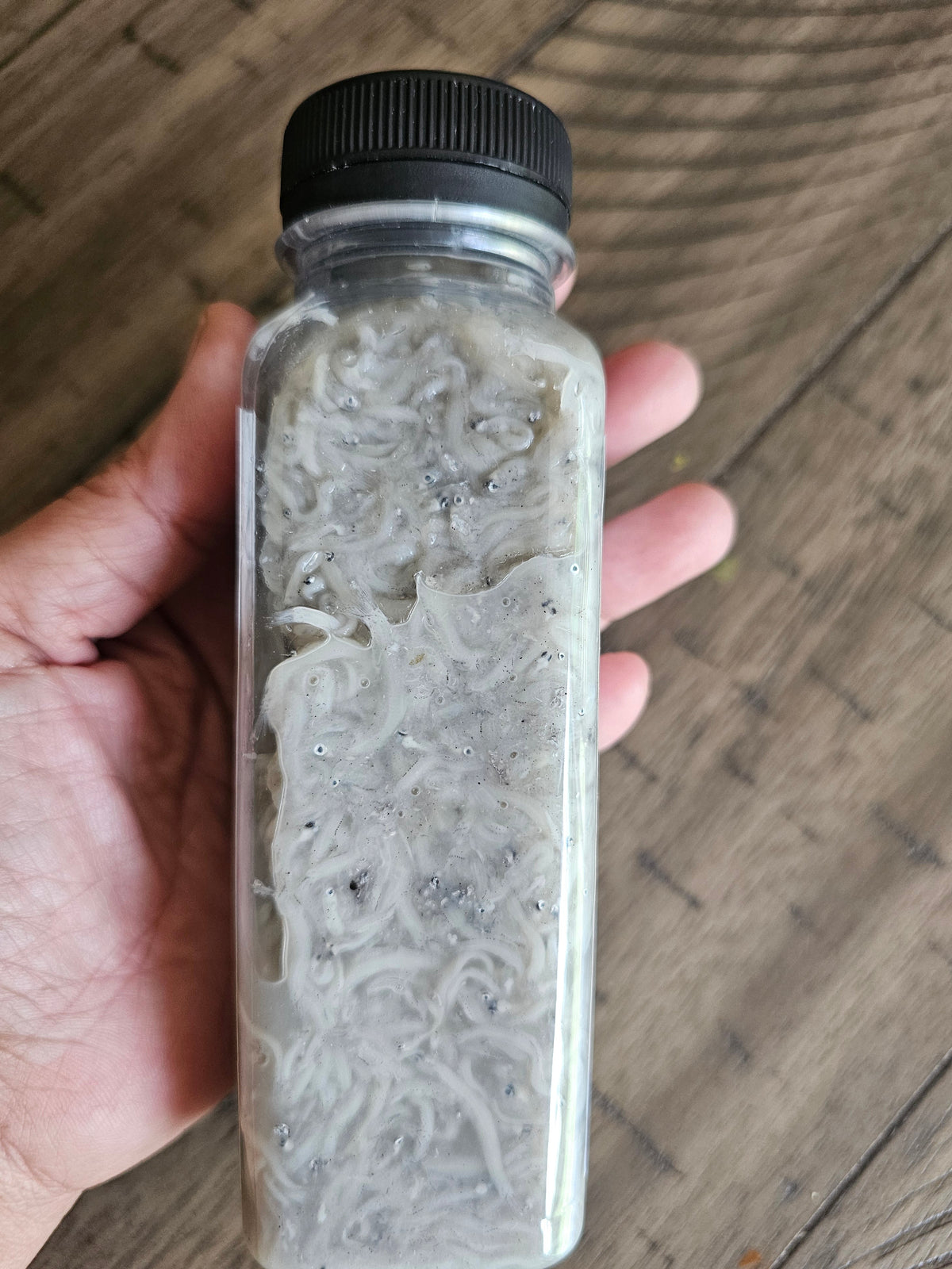 Jivanya's GINAMOS TUGNOS 300 ML