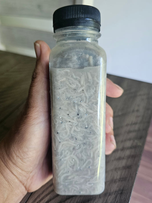 Jivanya's GINAMOS TUGNOS 300 ML