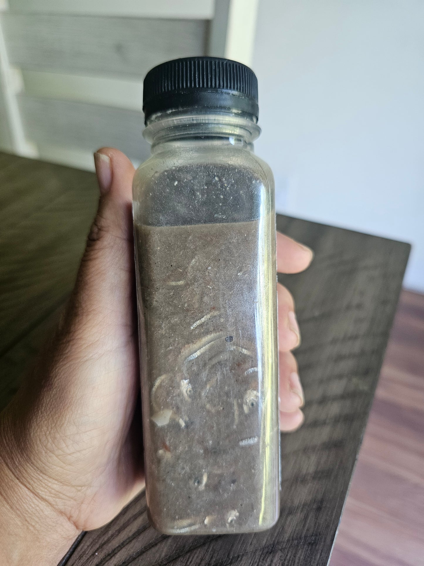 Jivanya's Ginamos Bolinao (Fermented Anchovies) 300ML